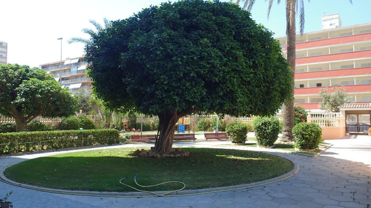 Tortuga Flat Apartment Alicante Luaran gambar