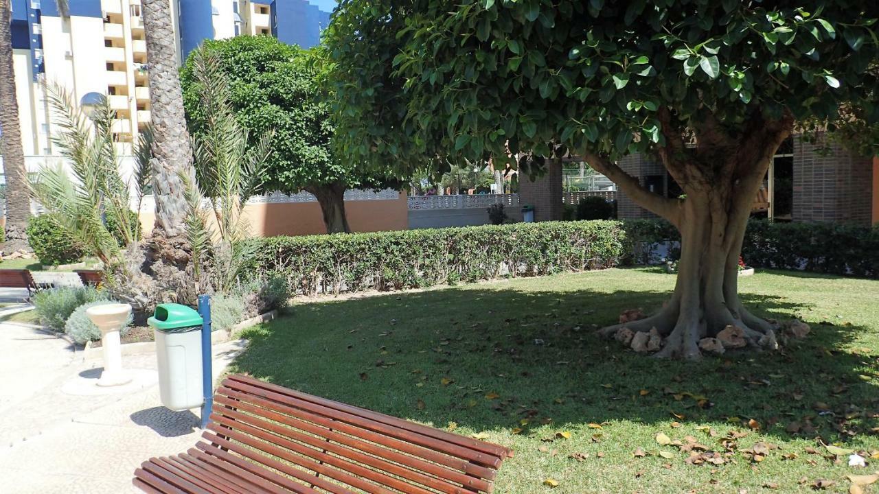 Tortuga Flat Apartment Alicante Luaran gambar